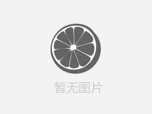【人人講安全，個個會應(yīng)急——暢通生命通道 】河南鴻宸積極參加安陽市2024年“安全宣傳咨詢?nèi)铡被顒? style=